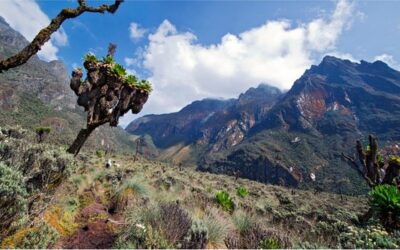 Les plus belles montagnes d’Afrique